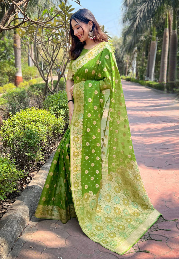 Green Organza Floral Saree With Unstitched Blouse